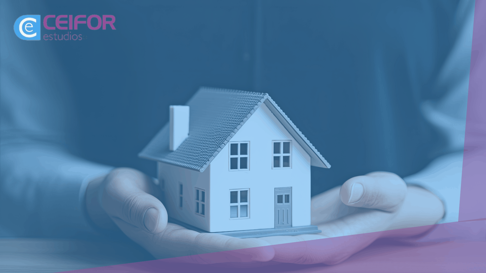 Gestión Inmobiliaria